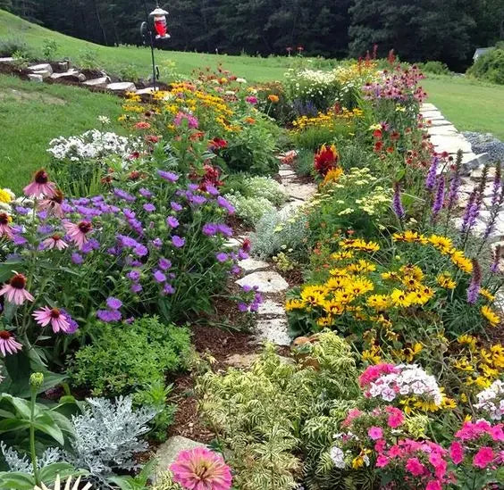 Garden Planning for Beginners: How to Get Started