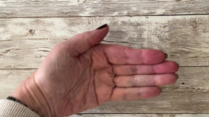 Wildflower seed mix seeds pouring out of white seed packet into the palm of a hand. There are about 200 seeds pictures, or about 1/4 teaspoon.